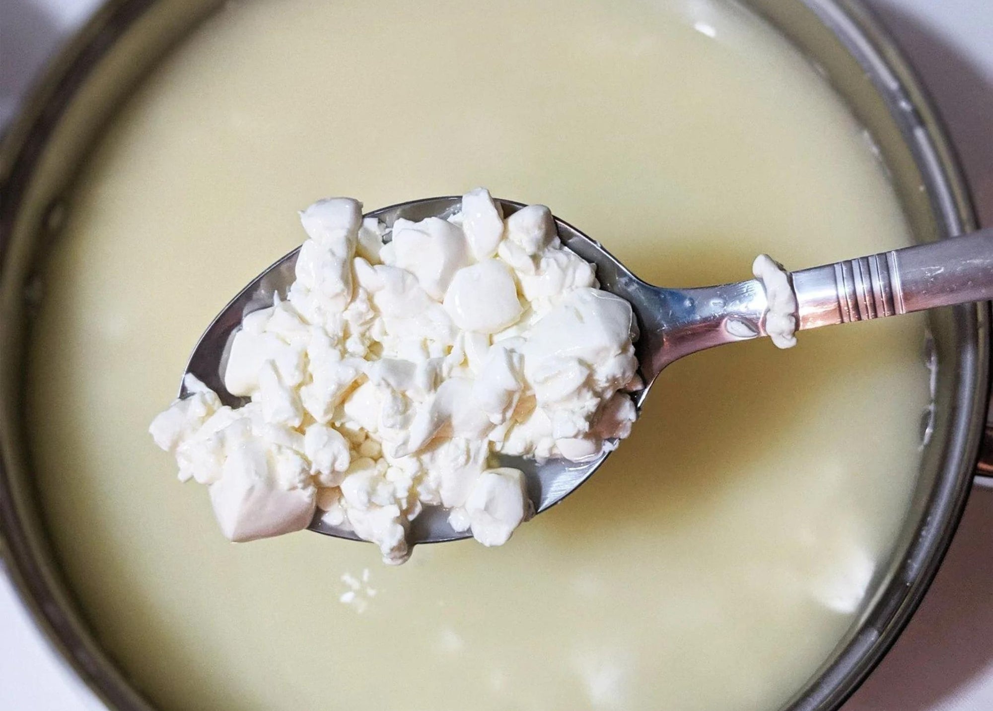5 Reasons You Should Make Cheese at Home