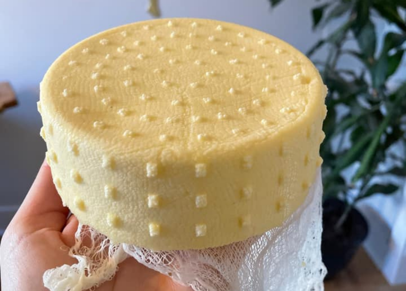 From Wheels to Wedges!