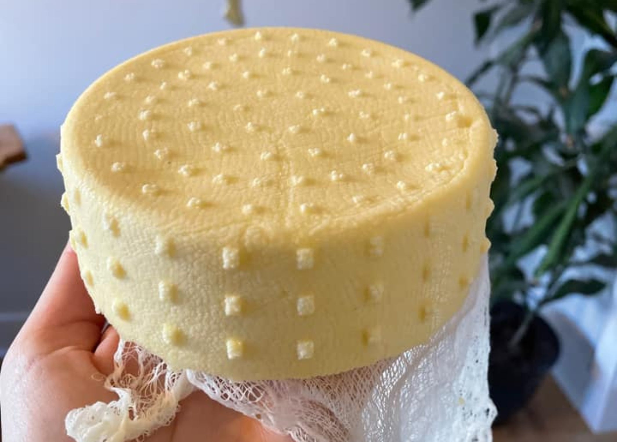 From Wheels to Wedges! CheeseMaker.ca