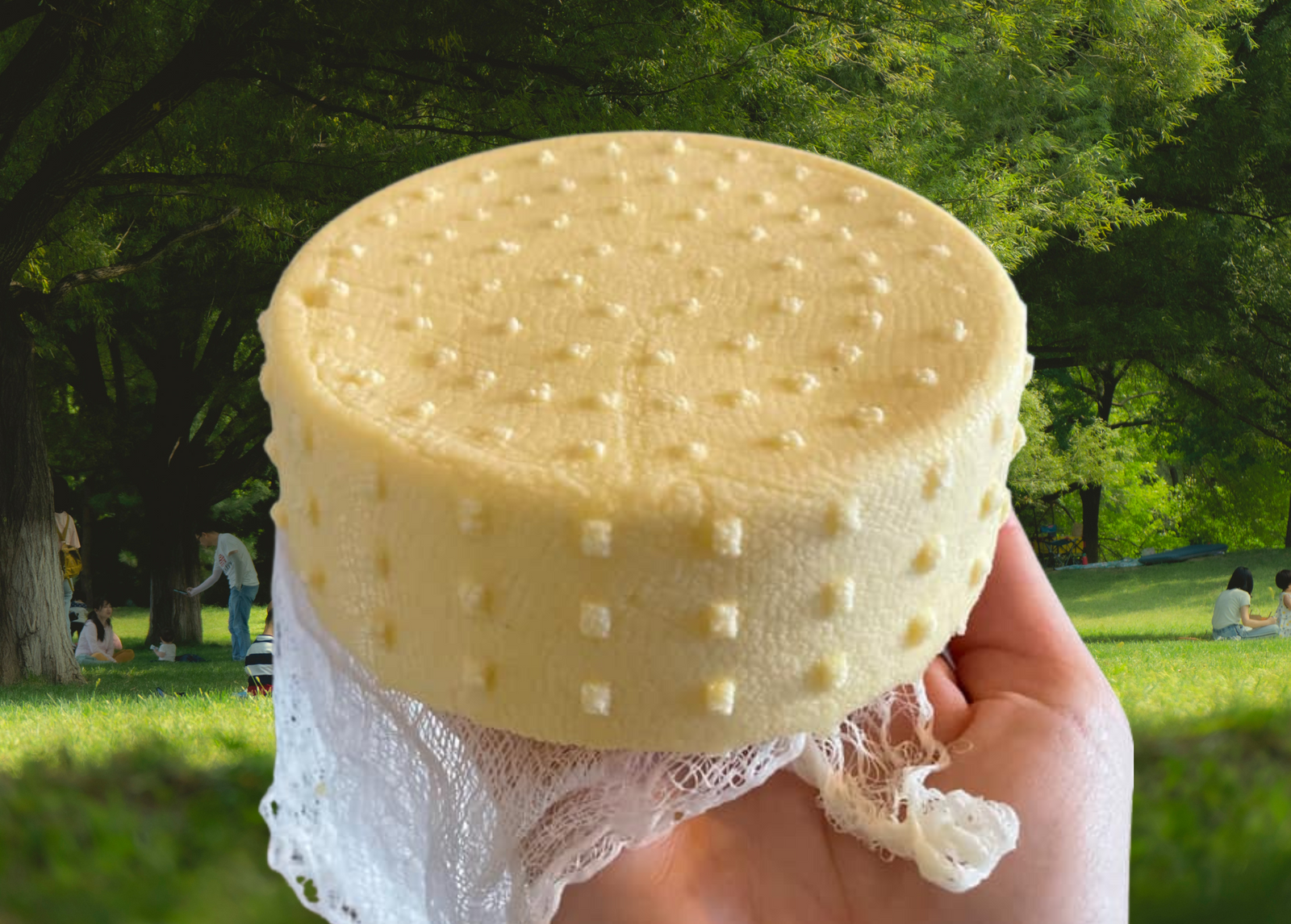 Create the Perfect Picnic with Cheese!