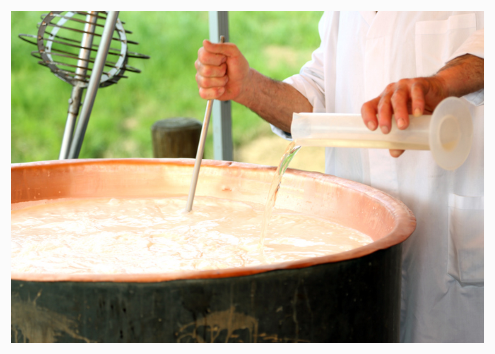 Navigating the Differences Between Vegetarian and Animal Varieties