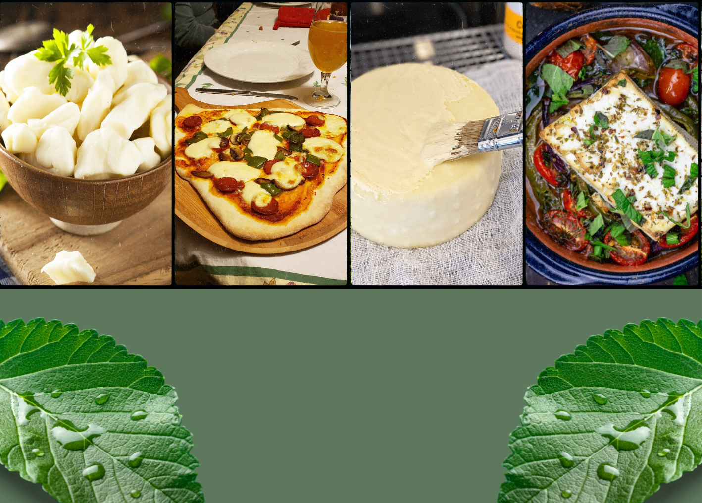 The 7 Healthiest Types of Cheese