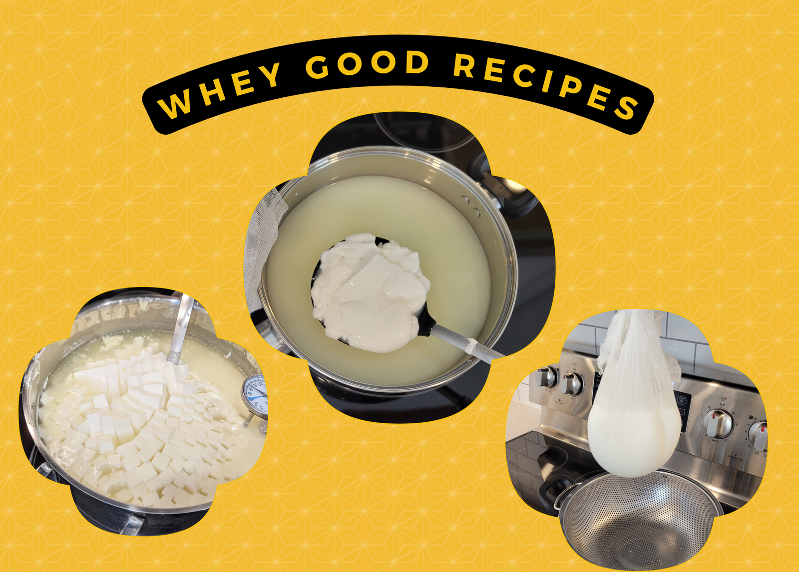 Whey too Good Recipes!