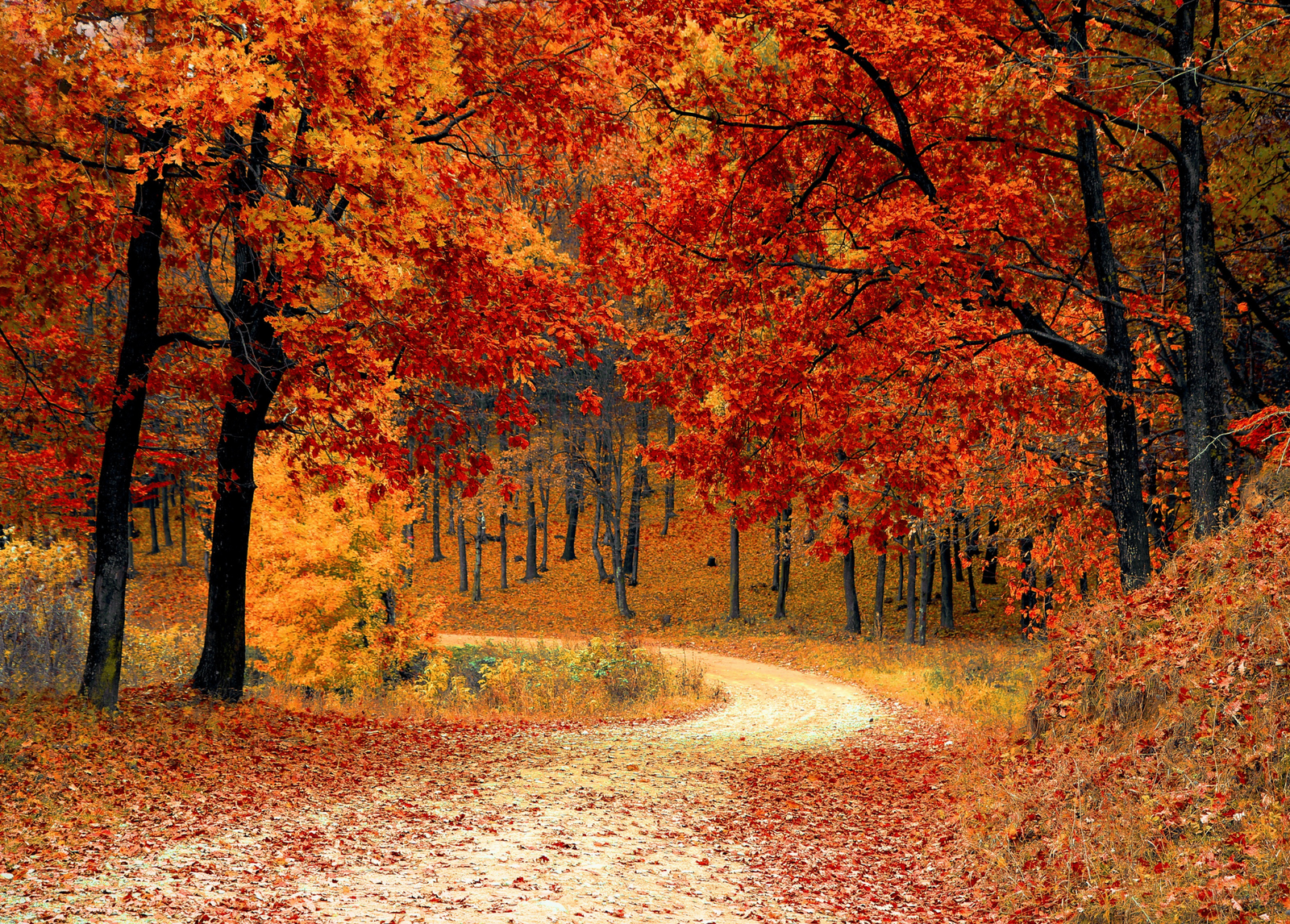 Fall in love with these Autumn Cheese ideas