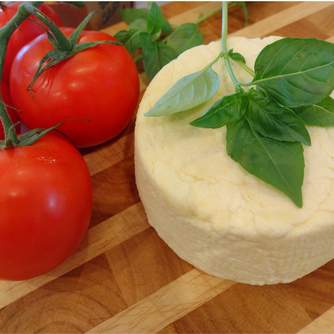 Homemade Feta cheese