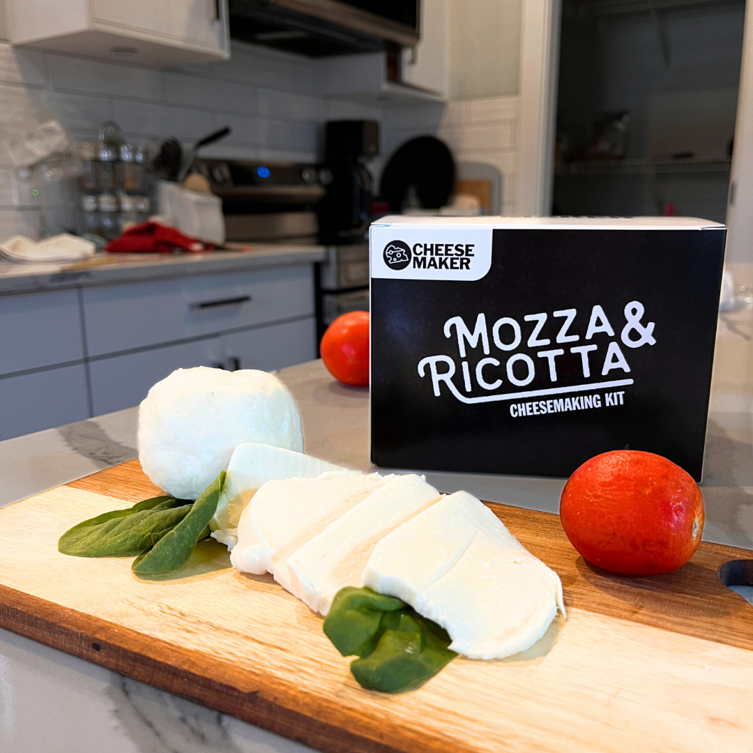 Homemade Mozzarella ball
